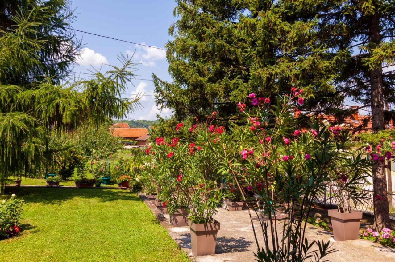 Studio 2 Golubac Zewnętrze zdjęcie