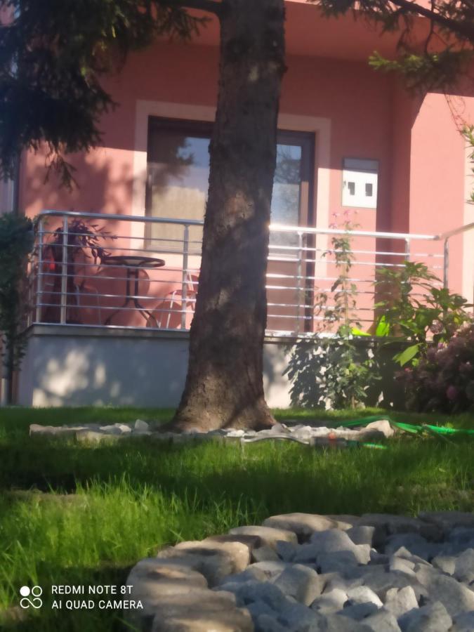 Studio 2 Golubac Zewnętrze zdjęcie
