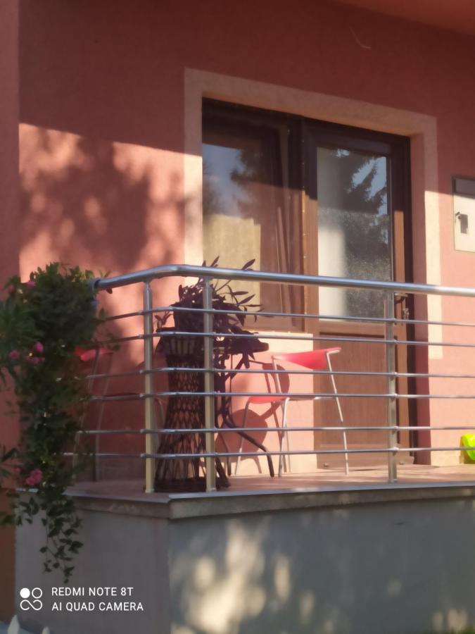 Studio 2 Golubac Zewnętrze zdjęcie